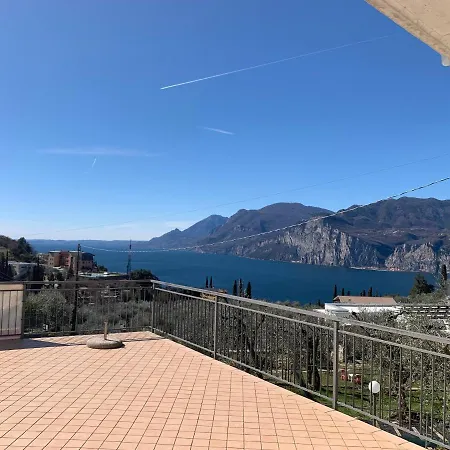 Viola مالتشيزينيه