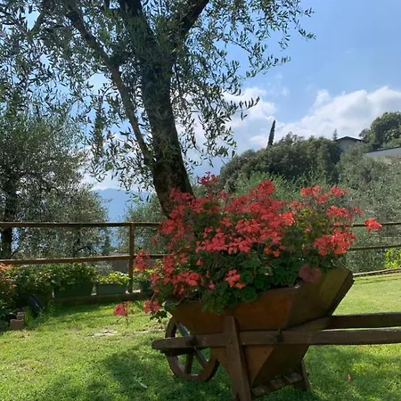 Appartamento Viola *