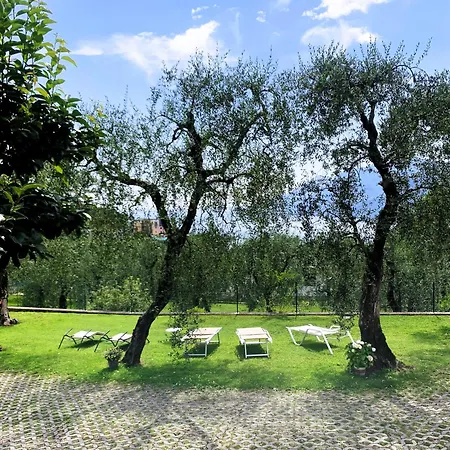 Viola Apartment