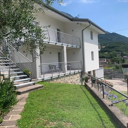 Viola * مالتشيزينيه