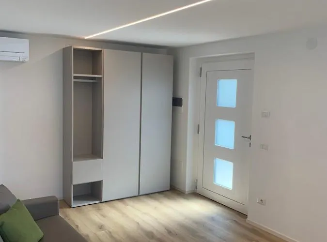 Viola * Мальчезине